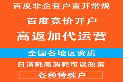 百度推广全攻略：成功案例剖析